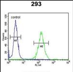 DZIP1 Antibody in Flow Cytometry (Flow)