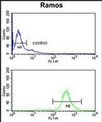 EIF2A Antibody in Flow Cytometry (Flow)