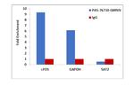 GMNN Antibody in ChIP Assay (ChIP)