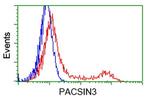 PACSIN3 Antibody in Flow Cytometry (Flow)