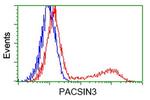 PACSIN3 Antibody in Flow Cytometry (Flow)