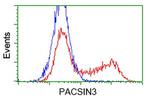 PACSIN3 Antibody in Flow Cytometry (Flow)