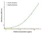 PADI4 Antibody in ELISA (ELISA)