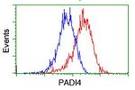 PADI4 Antibody in Flow Cytometry (Flow)