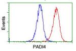 PADI4 Antibody in Flow Cytometry (Flow)