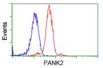 PANK2 Antibody in Flow Cytometry (Flow)
