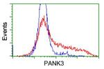 PANK3 Antibody in Flow Cytometry (Flow)