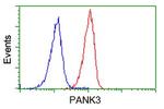 PANK3 Antibody in Flow Cytometry (Flow)