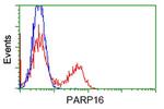 PARP16 Antibody in Flow Cytometry (Flow)