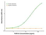 PARVA Antibody in ELISA (ELISA)
