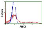 PBX1 Antibody in Flow Cytometry (Flow)