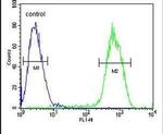 PCDHGC3 Antibody in Flow Cytometry (Flow)