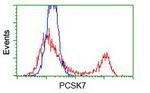 PCSK7 Antibody in Flow Cytometry (Flow)