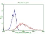PD-L1 Antibody in Flow Cytometry (Flow)