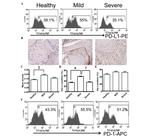 CD274 (PD-L1, B7-H1) Antibody in Flow Cytometry (Flow)