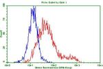 PD-L2 (PDCD1LG2) Antibody in Flow Cytometry (Flow)