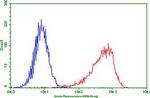 PDCD1 Antibody in Flow Cytometry (Flow)