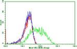 PDCD1 Antibody in Flow Cytometry (Flow)