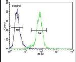 PDE12 Antibody in Flow Cytometry (Flow)
