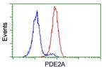 PDE2A Antibody in Flow Cytometry (Flow)