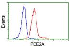 PDE2A Antibody in Flow Cytometry (Flow)