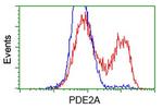 PDE2A Antibody in Flow Cytometry (Flow)