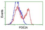 PDE2A Antibody in Flow Cytometry (Flow)