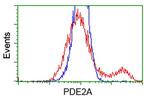 PDE2A Antibody in Flow Cytometry (Flow)