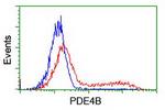 PDE4B Antibody in Flow Cytometry (Flow)
