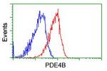 PDE4B Antibody in Flow Cytometry (Flow)