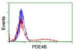 PDE4B Antibody in Flow Cytometry (Flow)