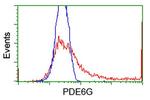 PDE6G Antibody in Flow Cytometry (Flow)