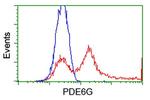 PDE6G Antibody in Flow Cytometry (Flow)