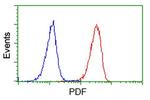 PDF Antibody in Flow Cytometry (Flow)