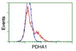 PDHA1 Antibody in Flow Cytometry (Flow)