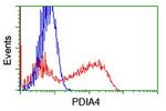 PDIA4 Antibody in Flow Cytometry (Flow)