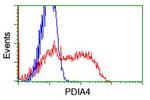PDIA4 Antibody in Flow Cytometry (Flow)