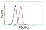 PDLIM2 Antibody in Flow Cytometry (Flow)
