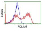 PDLIM5 Antibody in Flow Cytometry (Flow)