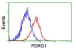 PDRG1 Antibody in Flow Cytometry (Flow)