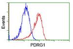 PDRG1 Antibody in Flow Cytometry (Flow)