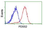 PDSS2 Antibody in Flow Cytometry (Flow)