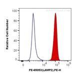 CD107b/LAMP2 Antibody in Flow Cytometry (Flow)
