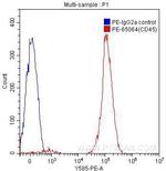 CD45 Antibody in Flow Cytometry (Flow)