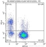 CD56 Antibody in Flow Cytometry (Flow)