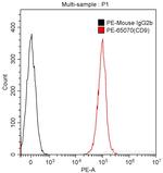 CD9 Antibody in Flow Cytometry (Flow)