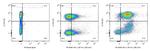 PD-L1 (B7-H1) Antibody in Flow Cytometry (Flow)