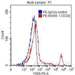 CD20 Antibody in Flow Cytometry (Flow)