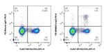 Foxp3 Antibody in Flow Cytometry (Flow)