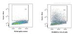 IL-12/IL-23 p40 Antibody in Flow Cytometry (Flow)